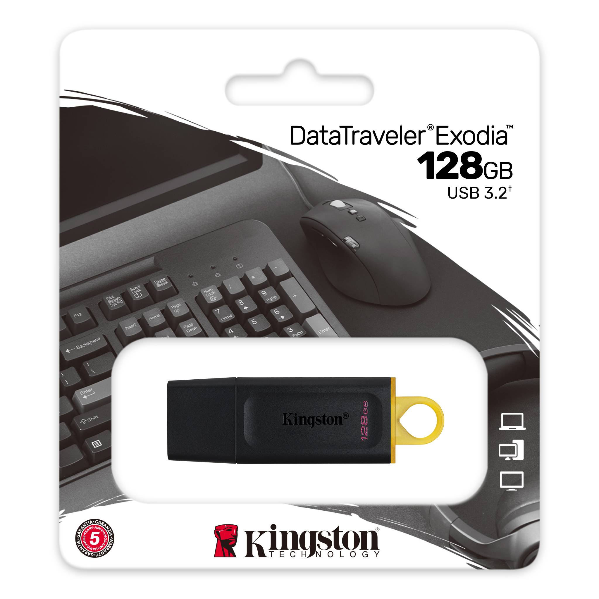 Usb fd 128gb kingston dtx/128gb