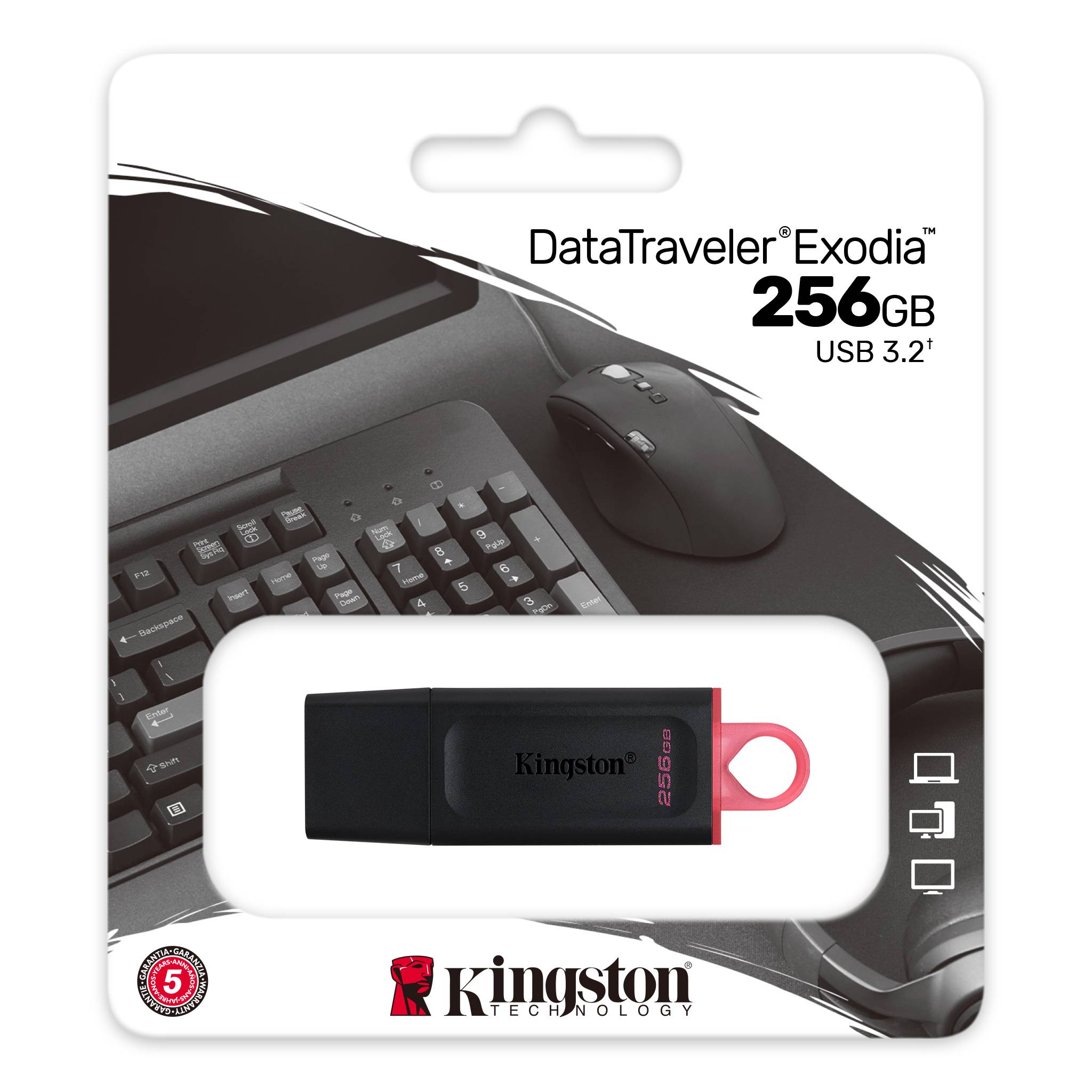 USB FD 256GB Kingston DTX/256GB