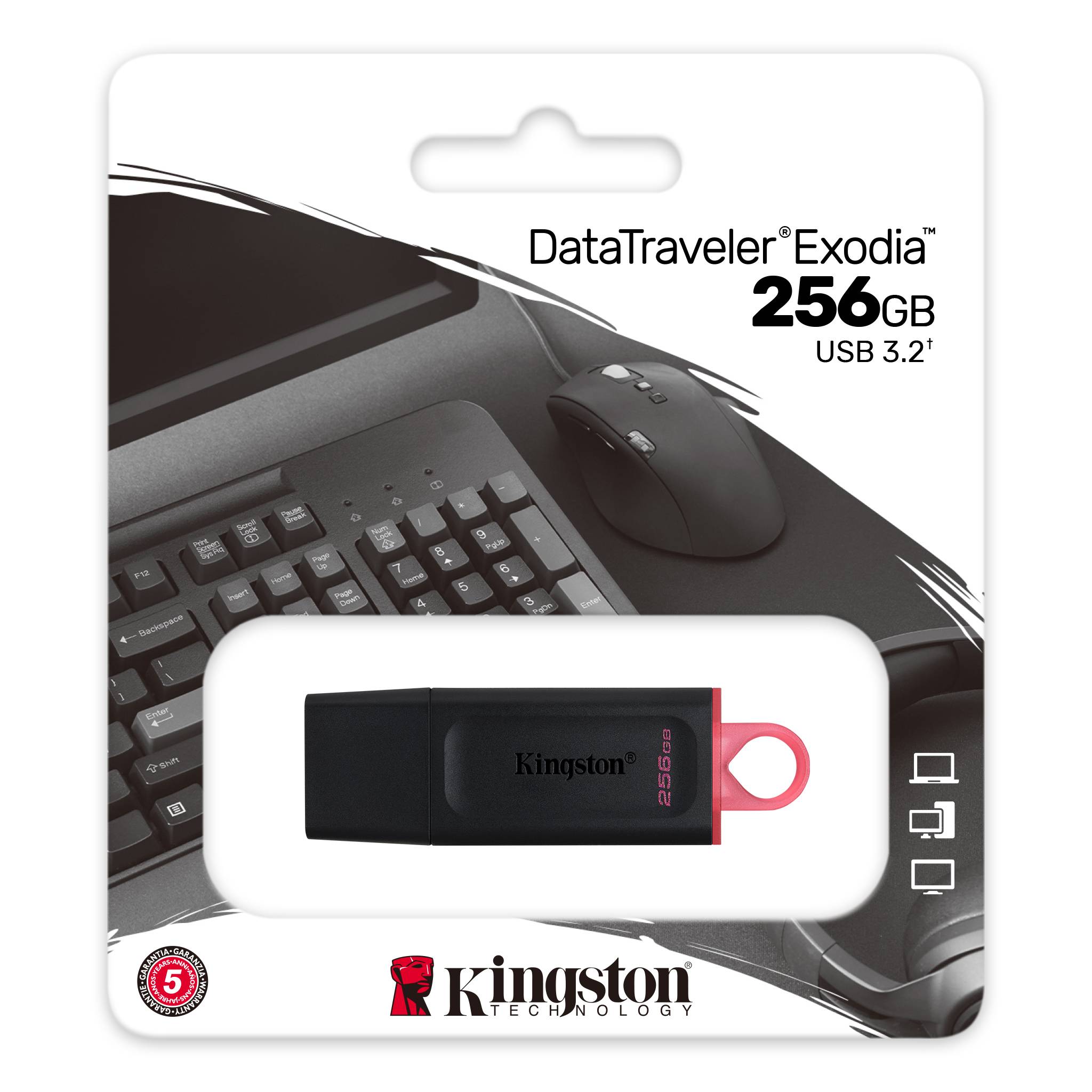 Usb fd 256gb kingston dtx/256gb